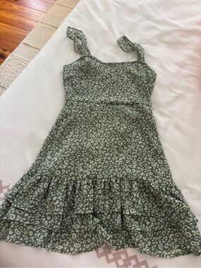 Altar'd State Green Leopard Print Mini Dress